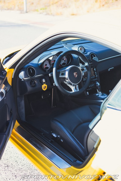 Porsche Cayman S 2009