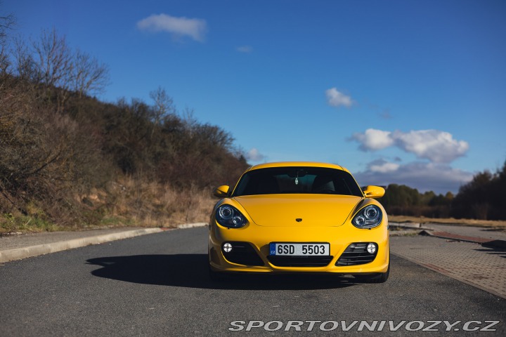 Porsche Cayman S 2009