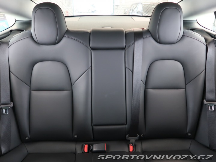 Tesla Model 3 Std Range Plus LFP 2020