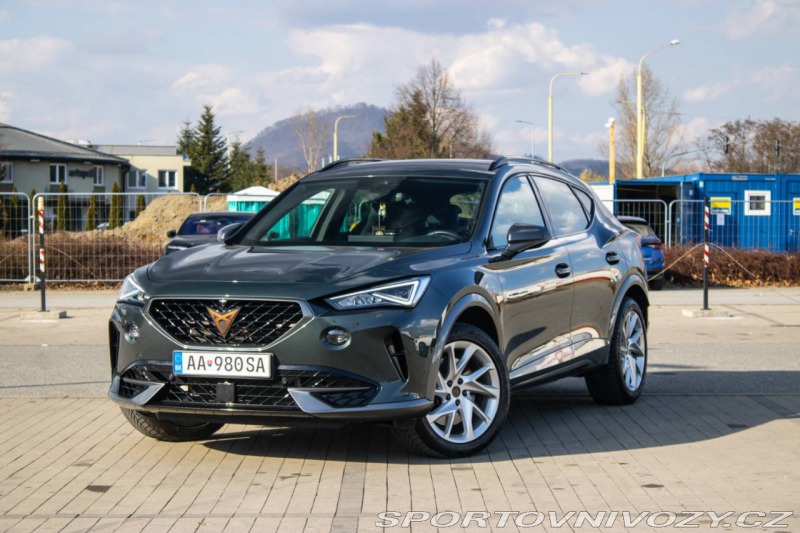 Cupra Formentor 2.0 TSI 310k 4Drive DSG