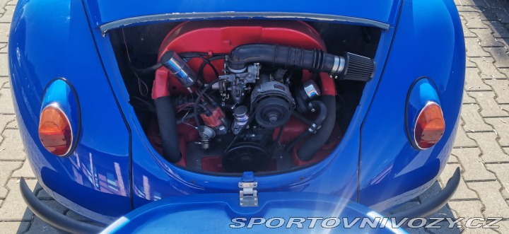 Volkswagen Brouk Speedster cabrio 1973