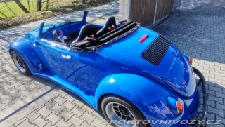 Volkswagen Brouk Speedster cabrio 1973