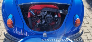 Volkswagen Brouk Speedster cabrio 1973