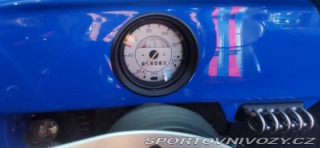 Volkswagen Brouk Speedster cabrio 1973