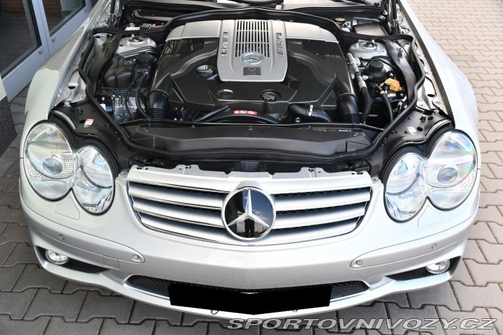 Mercedes-Benz SL 65 AMG V12 Anniversary Ed 2010