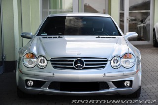 Mercedes-Benz SL 65 AMG V12 Anniversary Ed 2010