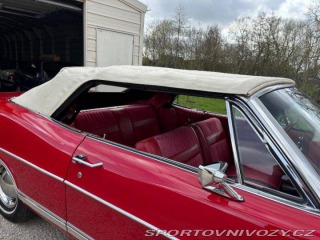 Ford Ostatní modely Galaxie 500 1967