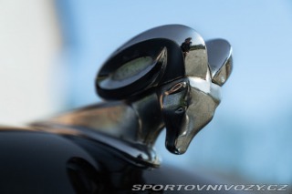 Dodge Ostatní modely V-EIGHT 1953