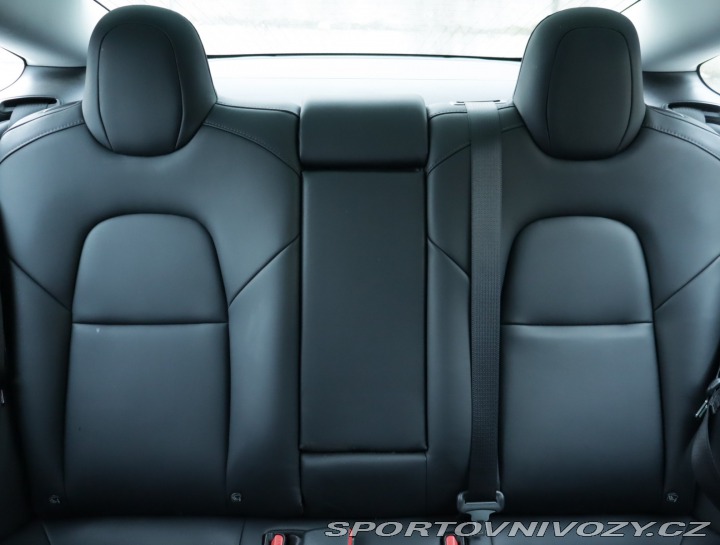 Tesla Model 3 Std Range Plus 52kWh 2019