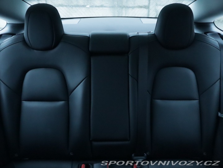 Tesla Model 3 Std Range Plus LFP 2020