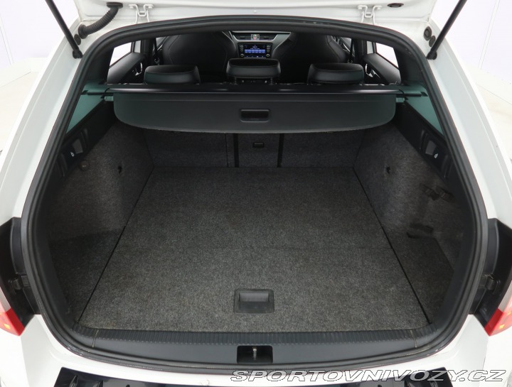 Škoda Octavia RS RS RS 2.0 TDI 2013