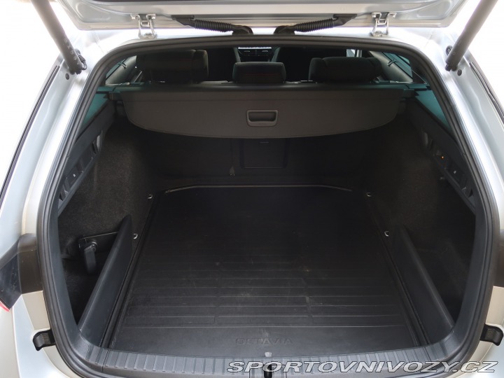 Škoda Octavia RS RS RS 2.0 TSI 2024