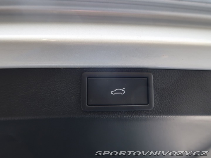 Škoda Octavia RS RS RS 2.0 TSI 2024