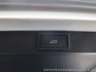 Škoda Octavia RS RS RS 2.0 TSI 2024