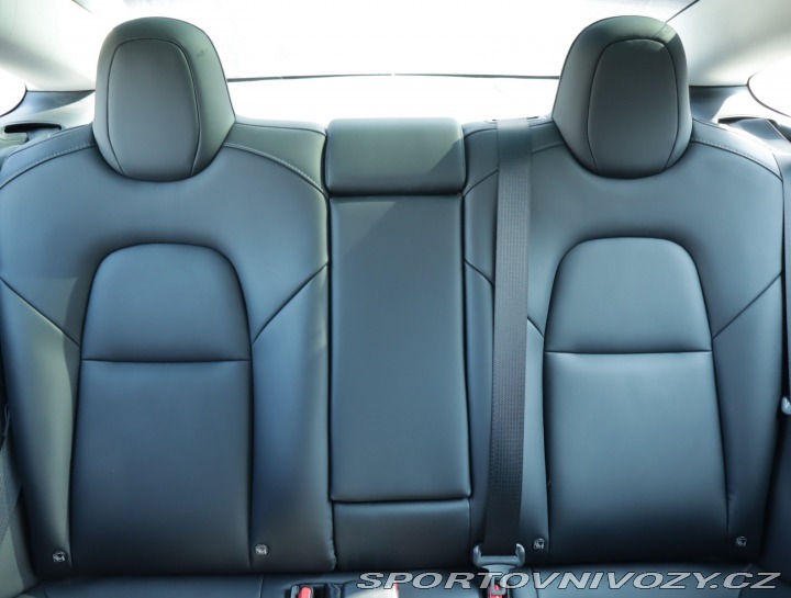 Tesla Model 3 Performance 82kWh 2021