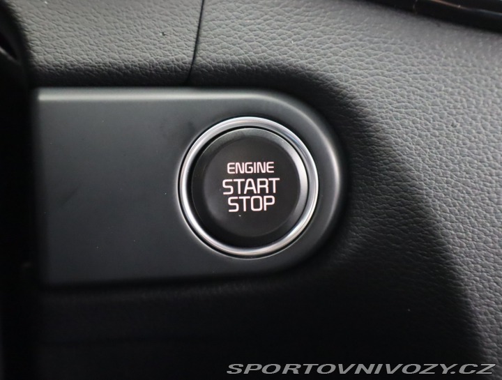 Kia ProCeed GT GT 1.6 T-GDI 2024