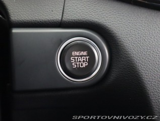 Kia ProCeed GT GT 1.6 T-GDI 2024