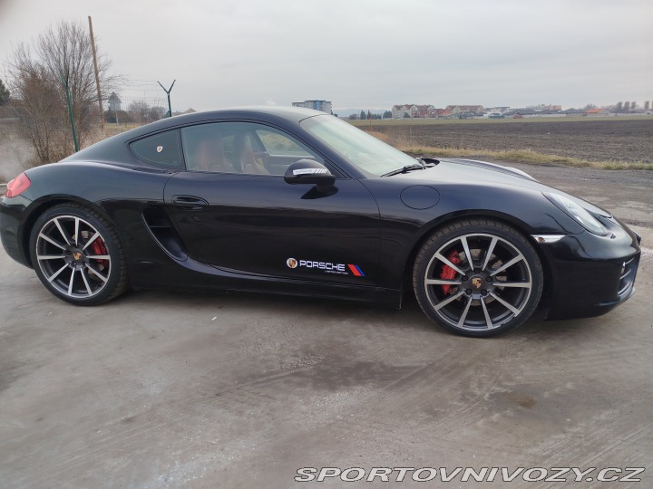 Porsche Cayman 981 2013