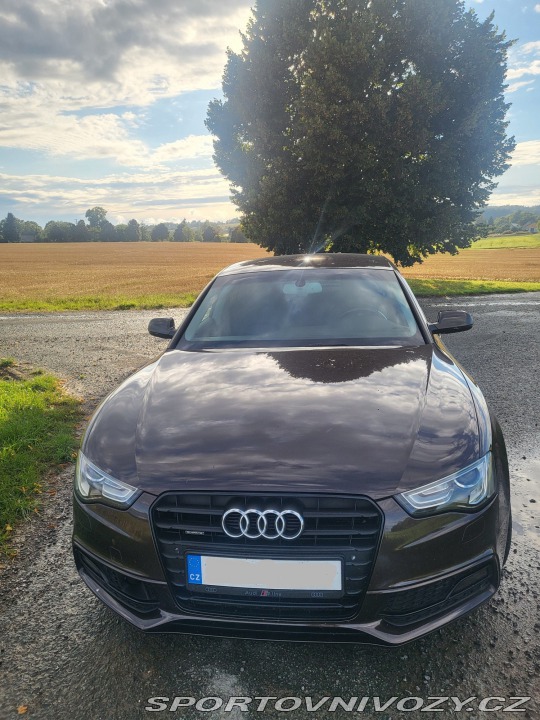 Audi A5 3.0 TDI quattro 160kW 2016