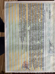 Ford Mustang ROUSH Stage 3 2020