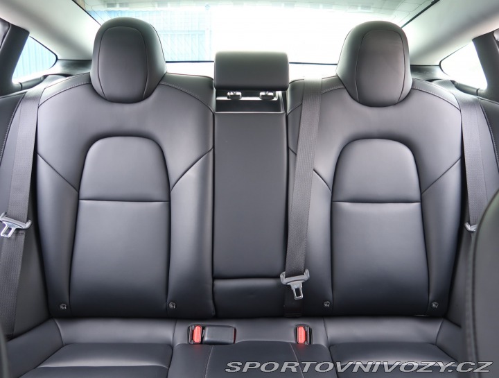 Tesla Model 3 Std Range Plus 52kWh 2020