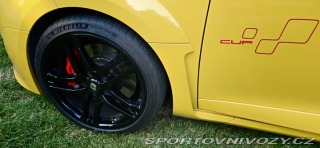 Renault Mégane RS CUP 265 2011