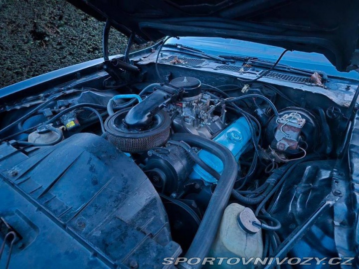 Pontiac Firebird 6.6 V8 1978