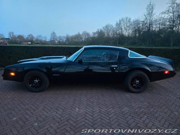 Pontiac Firebird 6.6 V8 1978