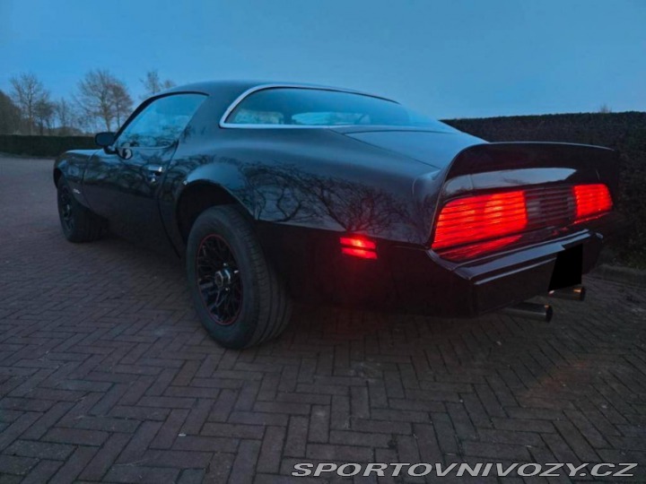 Pontiac Firebird 6.6 V8 1978