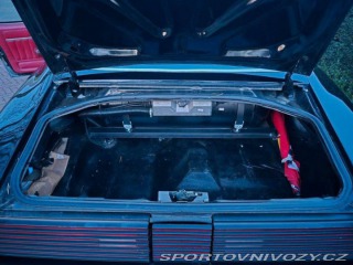 Pontiac Firebird 6.6 V8 1978