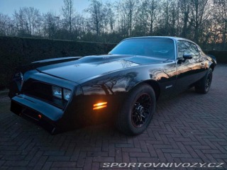 Pontiac Firebird 6.6 V8 1978