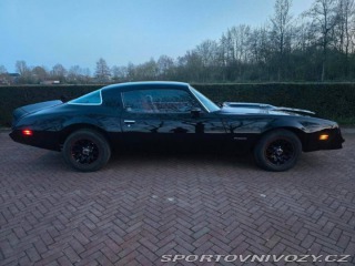 Pontiac Firebird 6.6 V8 1978