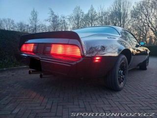 Pontiac Firebird 6.6 V8 1978