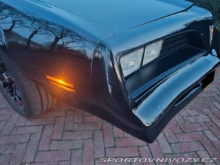 Pontiac Firebird 6.6 V8 1978