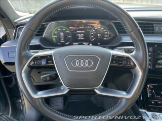 Audi Ostatní modely e-tron 0,0 55 Quattro 300kw Pano 2020