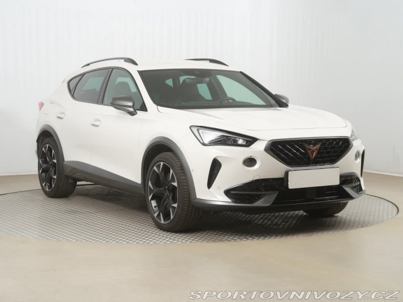 Cupra Formentor 2.0 TSI VZ