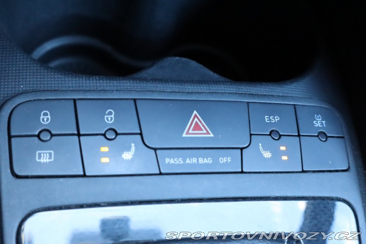 Seat Ibiza Top Sport Cupra R 2011