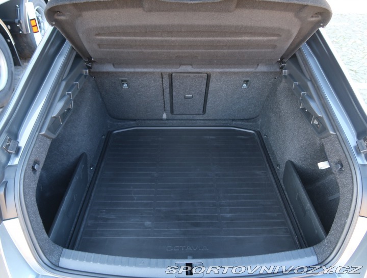 Škoda Octavia RS RS RS 2.0 TDI 4x4 2023