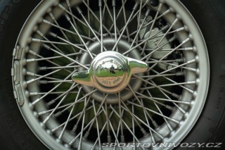 Ostatní značky Ostatní modely Triumph TR4 250 1963