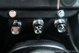 Ostatní značky Ostatní modely Triumph TR4 250 1963