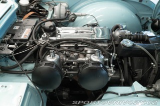 Ostatní značky Ostatní modely Triumph TR4 250 1963