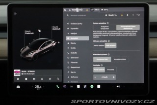 Tesla Model 3 Performance 82kWh 2021