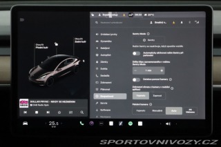 Tesla Model 3 Performance 82kWh 2021