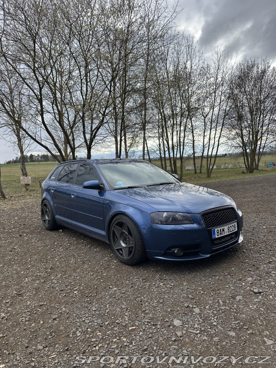Audi A3 8P 2006