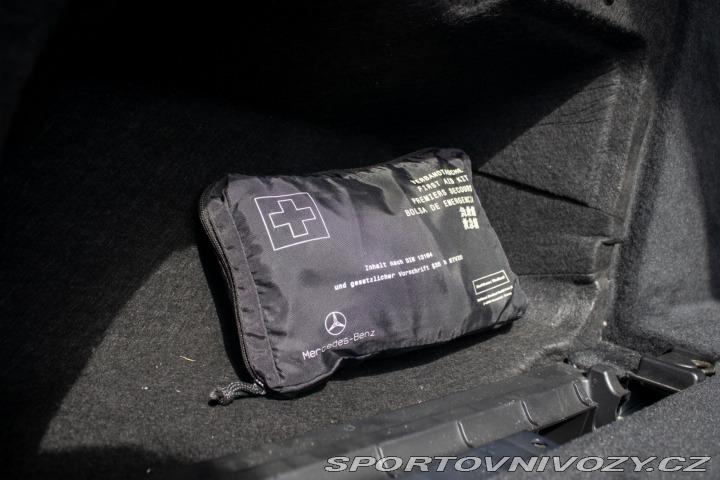 Mercedes-Benz CLS Shooting Brake 250 CDI B 2013