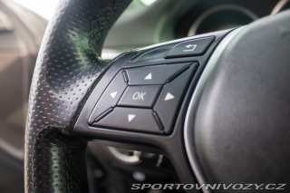 Mercedes-Benz CLS Shooting Brake 250 CDI B 2013