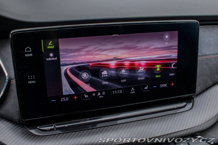 Škoda Octavia RS RS 2.0 TSI Matrix/Canton 2021