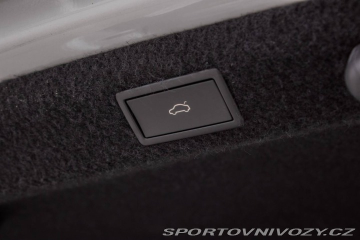 Škoda Octavia RS RS 2.0 TSI Matrix/Canton 2021