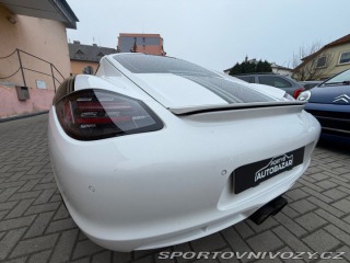 Porsche Cayman S 987 2009
