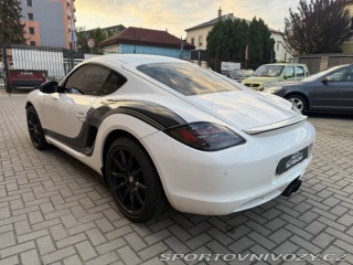 Porsche Cayman S 987 2009